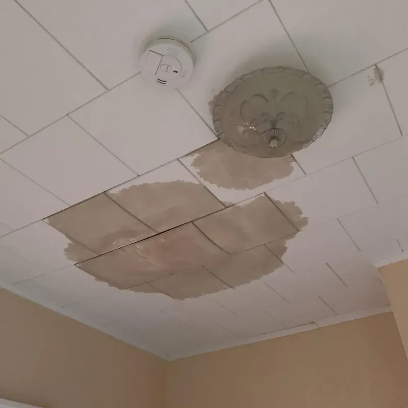 Ceiling Water Damage Repair in South Hill, NY