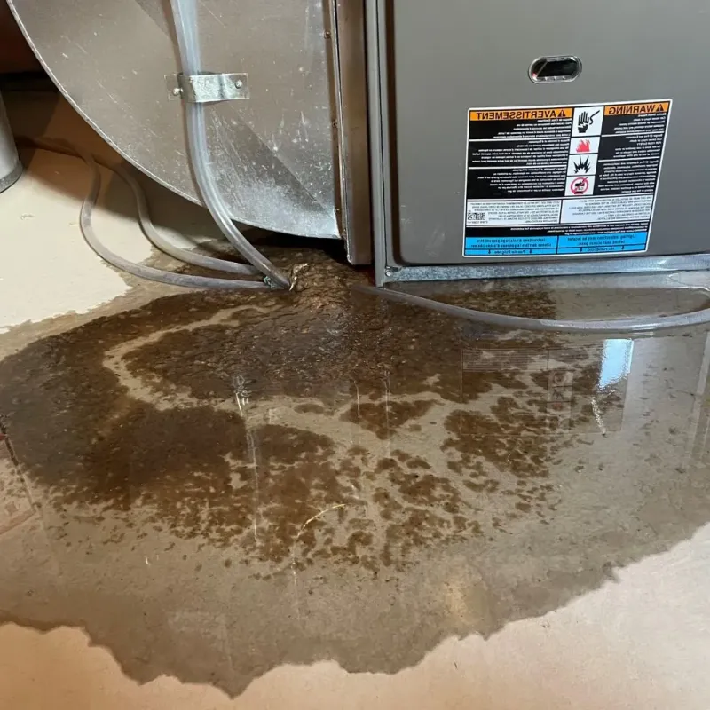 Pipe Burst and Leak Restoration in South Hill, NY