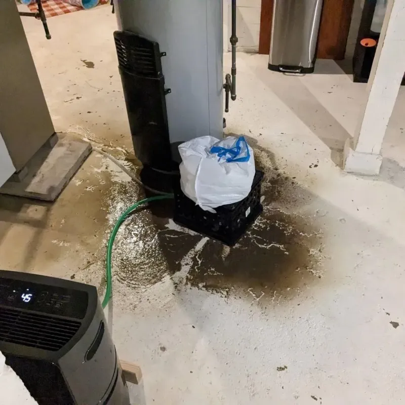 Sewage Backup Cleanup Service in South Hill, NY
